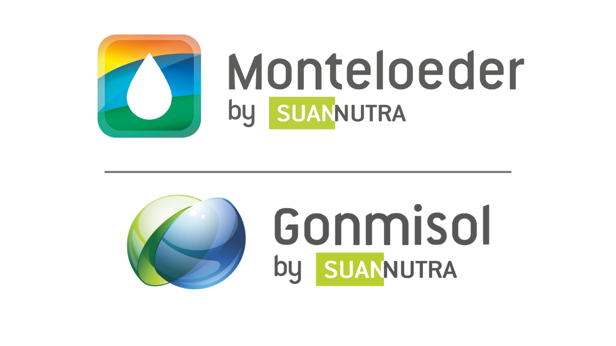 Monteloeder (Suannutra)